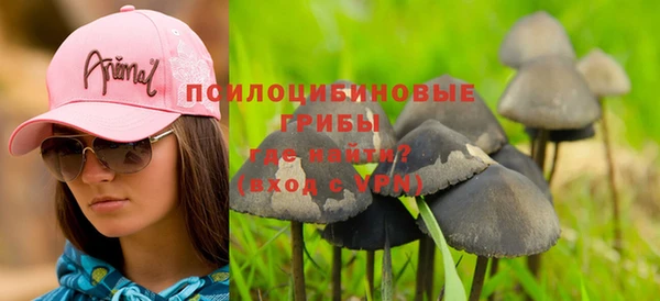 соль ск Костерёво