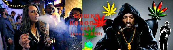 сатива Корсаков