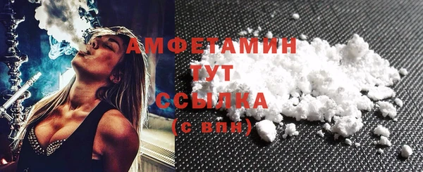 сатива Корсаков
