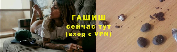 сатива Корсаков
