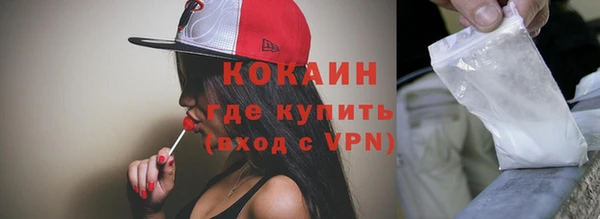 сатива Корсаков