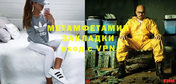 сатива Корсаков