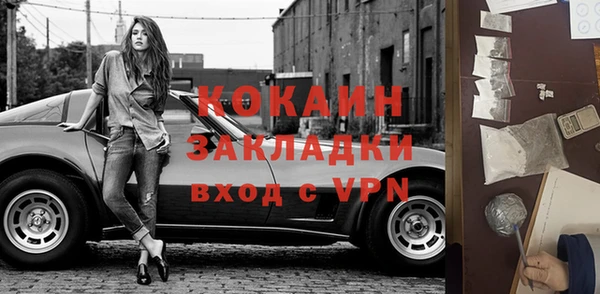 сатива Корсаков