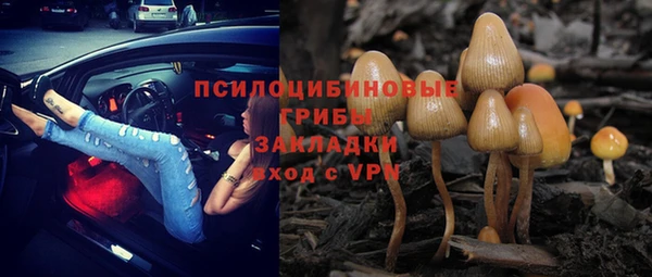 сатива Корсаков