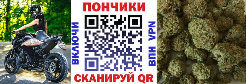 Купить закладки  Тулун  Бошки марихуана AK-47 